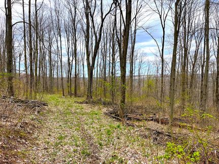 Commercial Property in Chautauqua County, New York