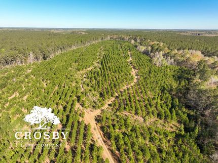 Land in Colleton County, South Carolina