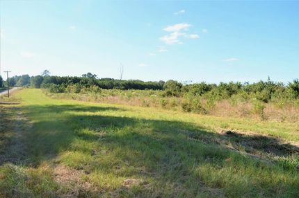 Undeveloped Land in Pike County, Mississippi