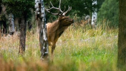 Hunting Property in Jefferson County, Colorado