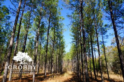 Undeveloped Land in Horry County, South Carolina