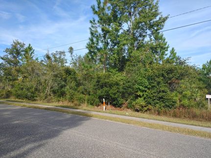 Undeveloped Land in Camden County, Georgia