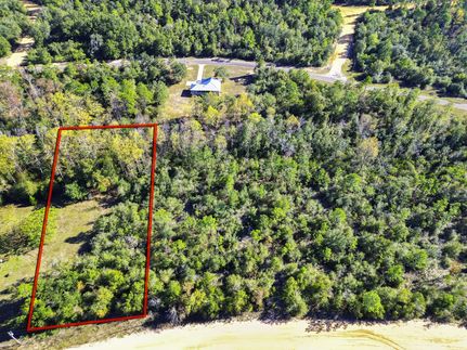 Farm and Ranch in Jackson County, Florida