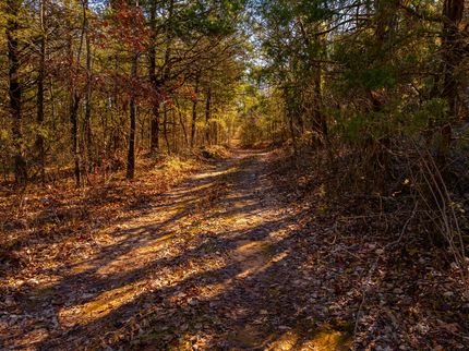 Undeveloped Land in Sharp County, Arkansas