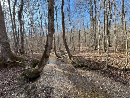 Hunting Property in Franklin County, Alabama