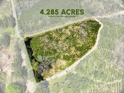 Timberland Property in Columbia County, Arkansas