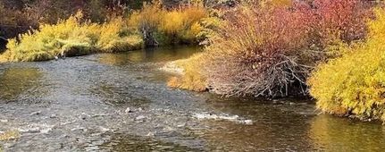Timberland Property in Fremont County, Idaho