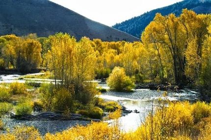 Timberland Property in Fremont County, Idaho
