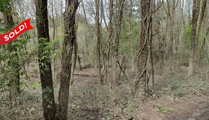 Timberland Property in Sonoma County, California