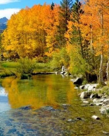 Timberland Property in Boise County, Idaho