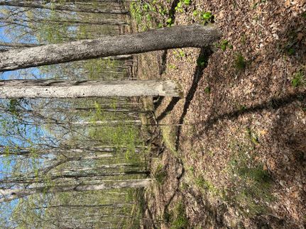 Undeveloped Land in Williamson County, Illinois