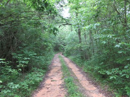 Recreational Property in Jackson County, Alabama