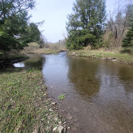 Undeveloped Land in Chenango County, New York
