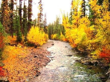 Recreational Property in Madison County, Montana