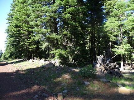 Land for sale in Modoc County, California