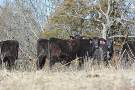 Farm and Ranch in Miller County, Missouri