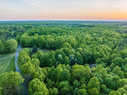 Timberland Property in Fluvanna County, Virginia