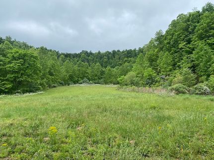 Farm and Ranch in Magoffin County, Kentucky
