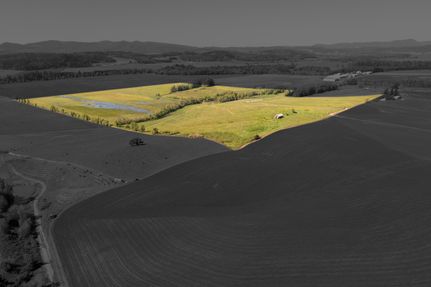 Undeveloped Land in Polk County, Oregon