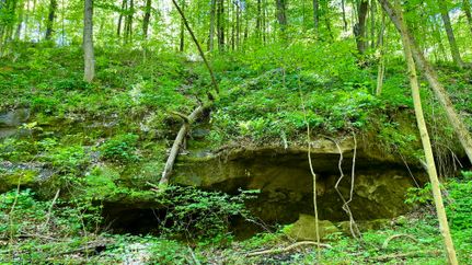 Farm and Ranch in Noble County, Ohio