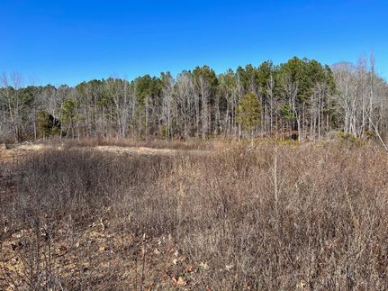 Undeveloped Land in Prentiss County, Mississippi