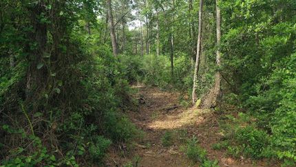 Recreational Property in Hyde County, North Carolina
