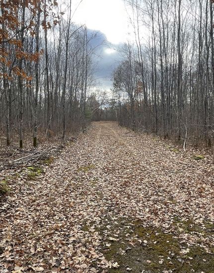 Land in Washburn County, Wisconsin