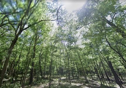 Undeveloped Land in Suwannee County, Florida