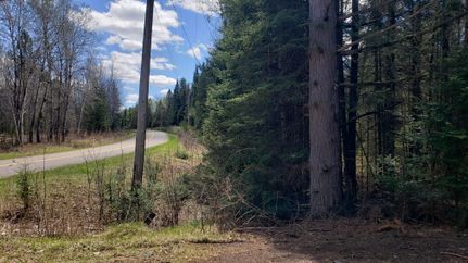 Undeveloped Land in Langlade County, Wisconsin