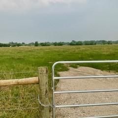 Recreational Property in Waller County, Texas