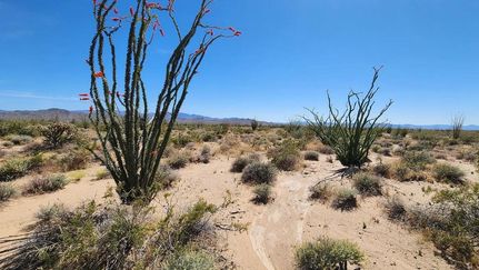 Farm and Ranch in Mohave County, Arizona