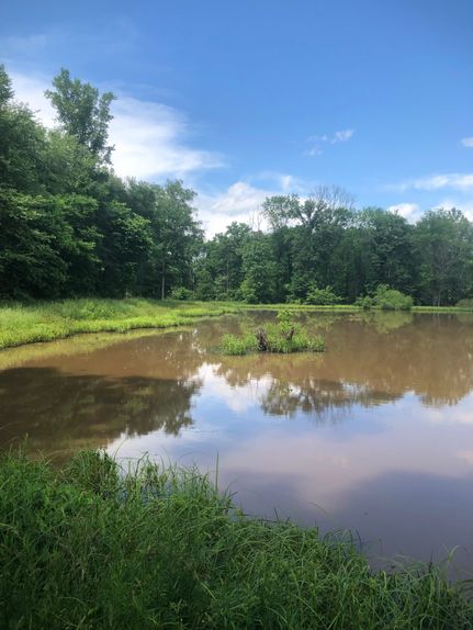 Farm and Ranch in Chester County, South Carolina