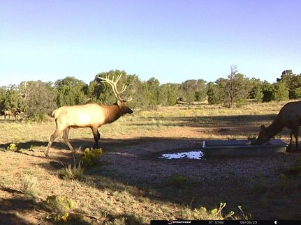 Farm and Ranch in Cibola County, New Mexico