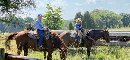 Horse Property in Pope County, Illinois
