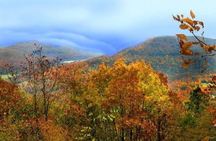 Undeveloped Land in Izard County, Arkansas