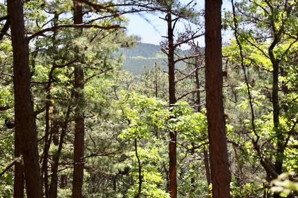 Undeveloped Land in Le Flore County, Oklahoma