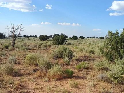 Riverfront Property in Navajo County, Arizona