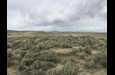 Undeveloped Land in Elko County, Nevada