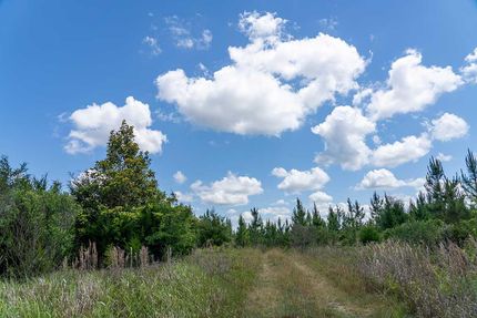 Recreational Property for sale in Calhoun County, Florida