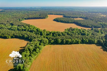 Farm and Ranch in Emanuel County, Georgia