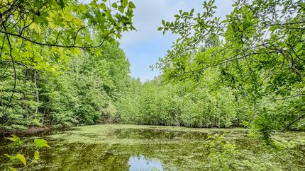 Land in Jefferson County, Georgia
