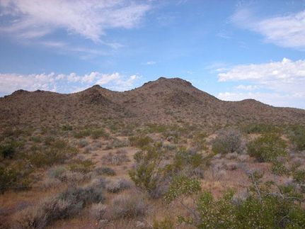 Riverfront Property in Mohave County, Arizona