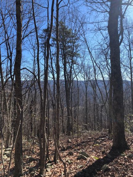 Undeveloped Land in Highland County, Virginia