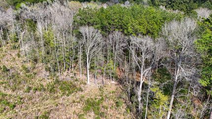 Land in Jasper County, Texas