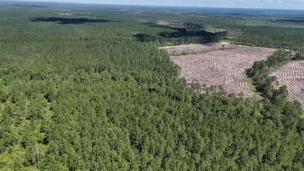 Timberland Property in Jackson County, Mississippi
