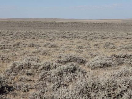 Farm and Ranch in Carbon County, Wyoming