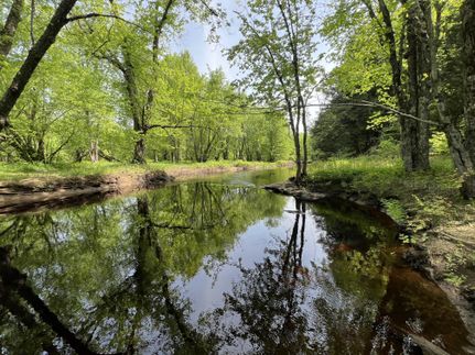 Farm and Ranch in Lewis County, New York