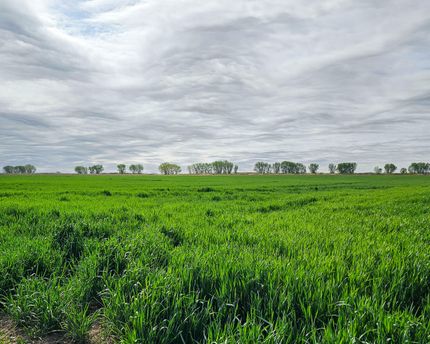 Farm and Ranch in Prowers County, Colorado