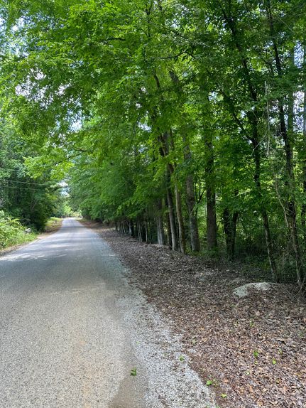 Recreational Property in Webster County, Mississippi