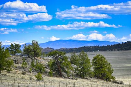 Undeveloped Land in Park County, Colorado